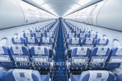 华夏航空飞机（行李架，小桌板，头枕巾）三件
